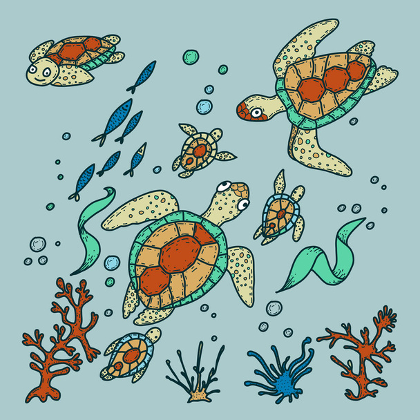 Meeresschildkröten. Handgezeichnete Doodle-Illustration. Marina-Leben. - Vektor, Bild