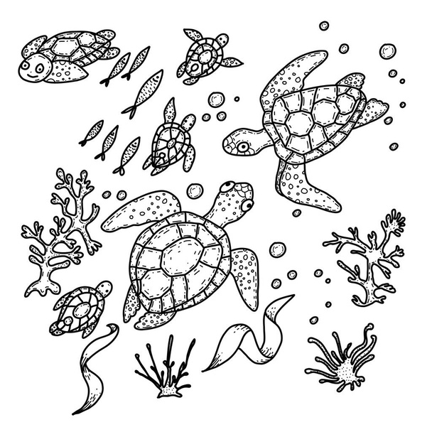 Des tortues marines. Livre à colorier dessiné à la main. Vie Marina. - Vecteur, image