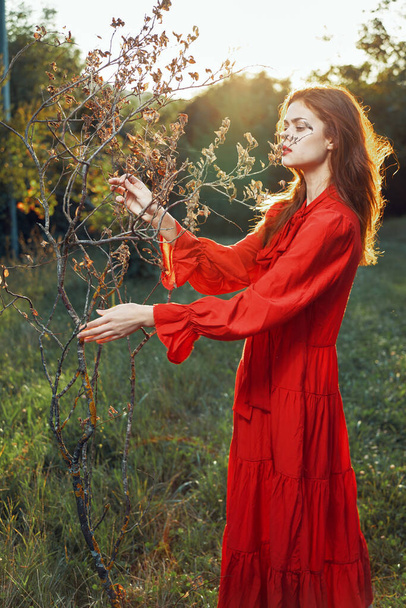 woman in red dress in field near tree posing summer - Foto, immagini