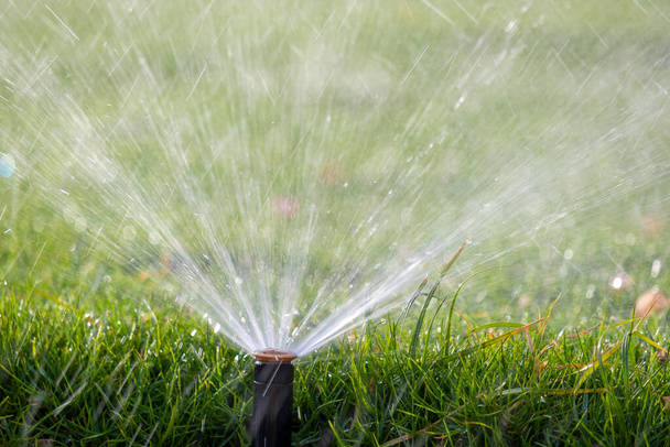 Пластиковый дождеватель, поливающий газон с водой в летнем саду. Полив зеленой растительности вырыть сухой сезон для поддержания его свежим - Фото, изображение