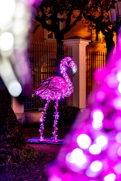 Luci di Natale a Gaeta, fiabe di luce 2019, Gaeta, Lazio, Italia. Rappresentazione del fenicottero viola - Foto, immagini
