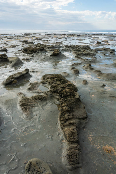 Litoral na área de Flat Rocks de Bunurong Marine e Coastal Park em Victoria, Austrália, durante a maré baixa. Esta área é o lar do local fóssil de dinossauro mais produtivo em Victoria. - Foto, Imagem