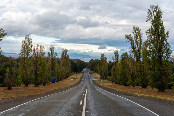 Autoweg in Mansfield, Victorian High Country, Australië. - Foto, afbeelding