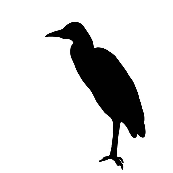 Vector animal illustration. Black silhouette of a heron on a white background. - Vector, imagen
