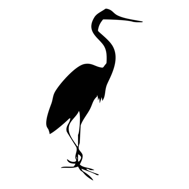Vector animal illustration. Black silhouette of a heron on a white background. - Vector, Image