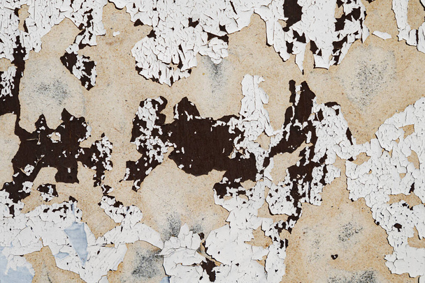 Ancient Cracked Wallpaper. Eroded Shabby Material. White Dry Frame. Modern Nature Construction. Gray Cracked Timber Wallpaper. Abandoned Wood Wall. Painted Cracked Timber Wallpaper. - Photo, Image