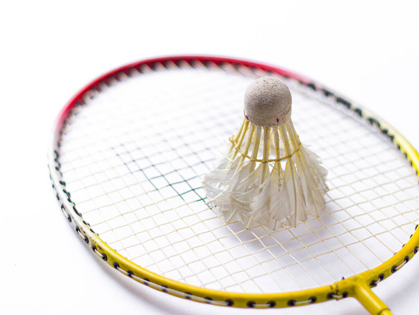 Badminton racket and White Feather Shuttlecock with a  colour green background stock isolated image.  - Foto, immagini