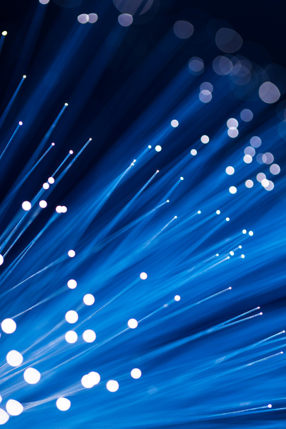 Cables de fibra óptica
 - Foto, imagen