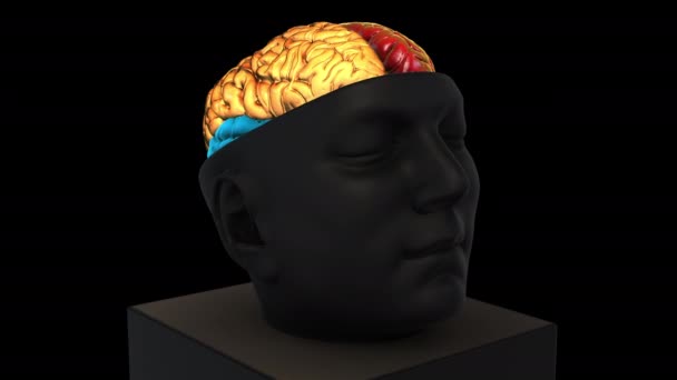 Tamanho Intracranial Cérebro Estrutura - rotação zoom out - partes de cor superior - modelo de animação 3d em um fundo preto - Filmagem, Vídeo