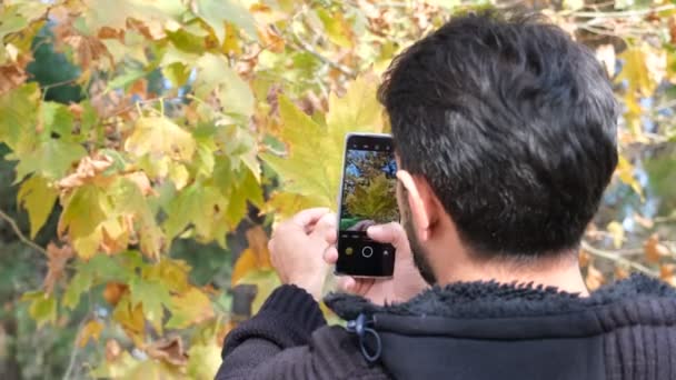 Herbstfotos machen, junger Mann fotografiert trockene Blätter im Herbst, Herbst - Filmmaterial, Video