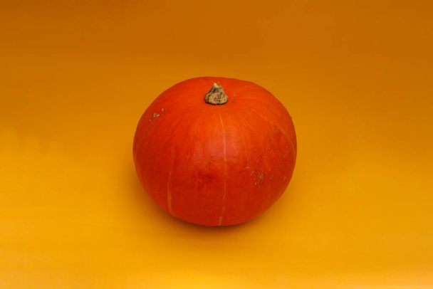 Orange pumpkin isolated on orange background - Φωτογραφία, εικόνα