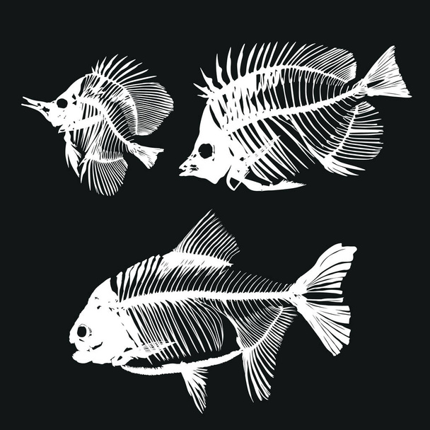Skeletons of fishes. Three fishbones on dark background - vector illustration - Вектор, зображення