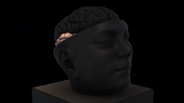 Tamanho Intracranial Cérebro Estrutura - Temporal- rotação zoom out - modelo de animação 3d em um fundo preto - Filmagem, Vídeo