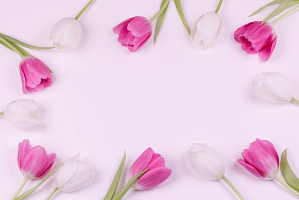 Border frame with tulips flowers. Flat lay top view, background with copy space for text - 写真・画像