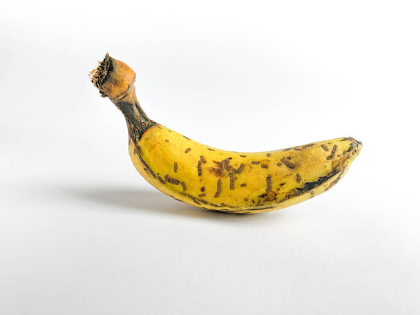 Banana with black spots isolated stock image. - Photo, image