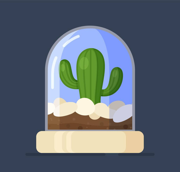 Ilustración vectorial del vidrio del cilindro de la planta. Cactus brotando en la estación fría. Caja de cristal vector, cúpula de planta transparente aislada sobre fondo azul. Cactus jóvenes. - Vector, Imagen