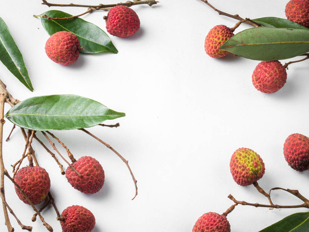 fresh litchi isolated stock images. - Foto, immagini