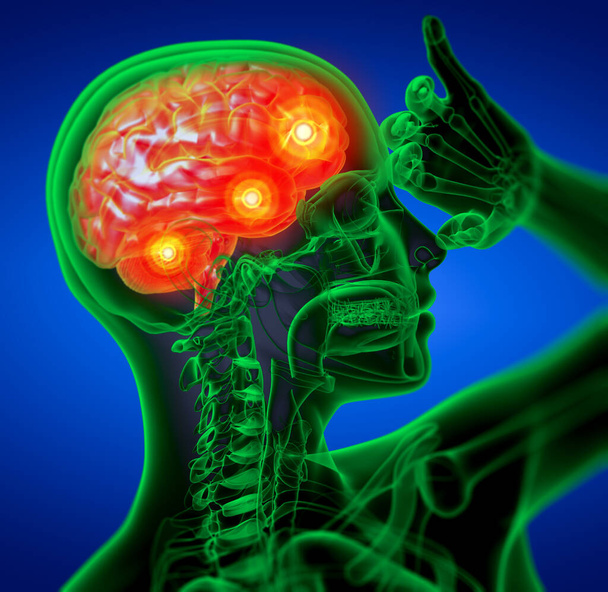3D medyczna ilustracja mózgu - widok z boku - Zdjęcie, obraz