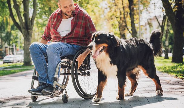 Happy young man with a physical disability in a wheelchair with his dog. - Photo, Image