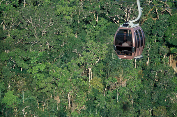 kolejka linowa w dżungli Krajobraz na obszarze górskim Gunung Machinchang na wyspie Langkawi w Malezji. Malezja, Langkawi, styczeń 2003 - Zdjęcie, obraz