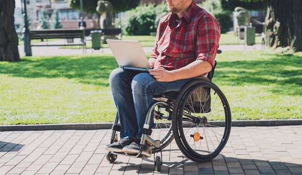 Freelancer with a physical disability in a wheelchair working at the park - Zdjęcie, obraz