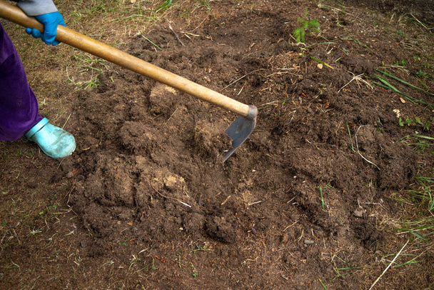 Creuser le sol avec une houe pour planter des plantes. Jardinage. Aménagement paysager. - Photo, image