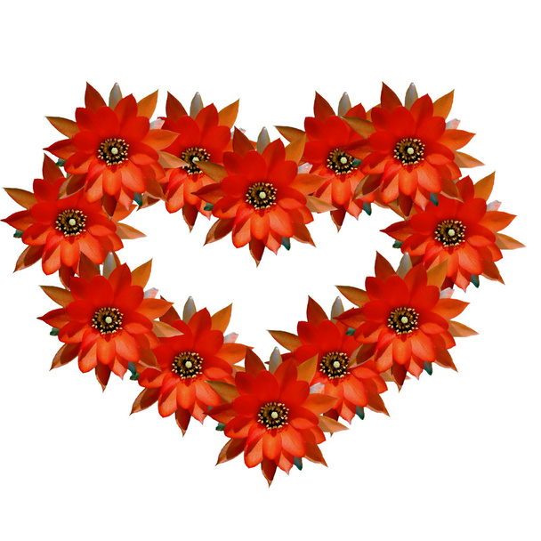 serce czerwone kwiaty - Zdjęcie, obraz