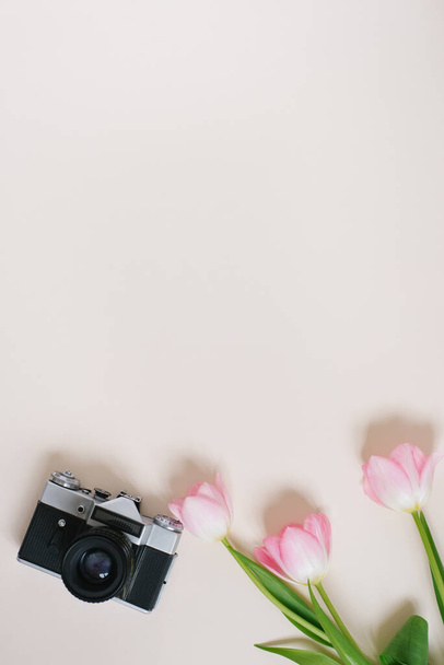 ピンクのチューリップとベージュの背景に古いカメラと最小限の女性的なホームデスクトップ。フラットレイアウト、トップビュー。春のコンセプト - 写真・画像