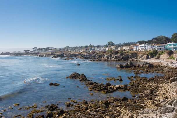 Montereyn rannikko, Kalifornia
 - Valokuva, kuva