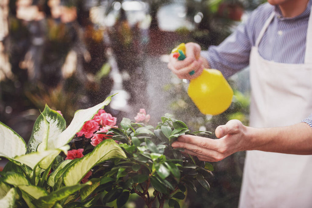 florista masculino pulverizando flores na loja de flores
. - Foto, Imagem