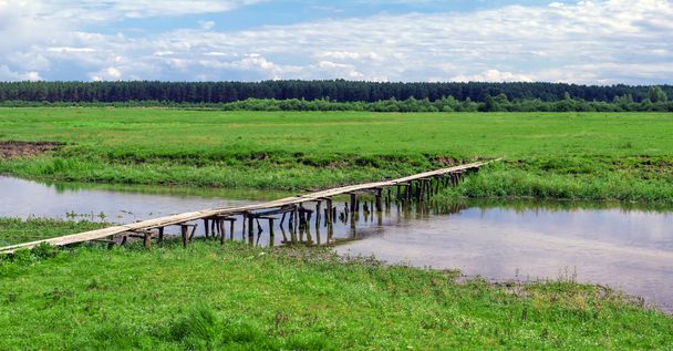 drewniany most nad rzeką w zielone pole w pobliżu lasu - Zdjęcie, obraz