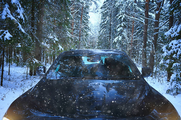 car winter forest travel, background december nature - Valokuva, kuva