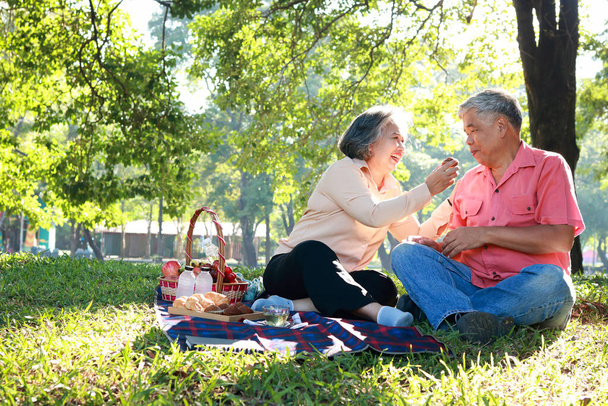 Aziatische bejaarde echtpaar picknick in het park Ze zaten op het gras en hadden manden met fruit en brood naast zich liggen. Ze genieten van hun vakantie. Het concept van met pensioen gaan om gelukkig te zijn. - Foto, afbeelding