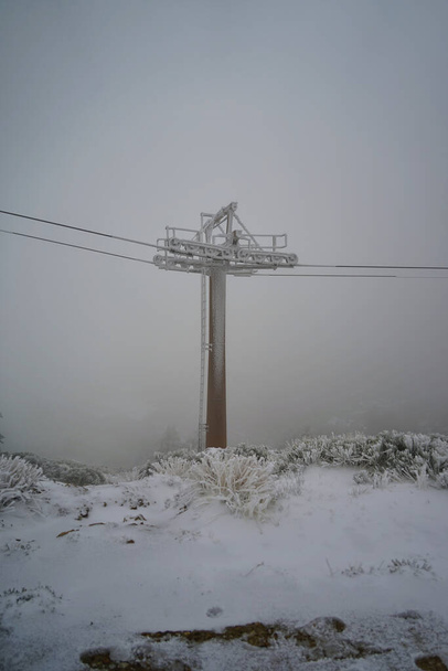 An electric pole in a winter field on a gloomy day - Foto, imagen