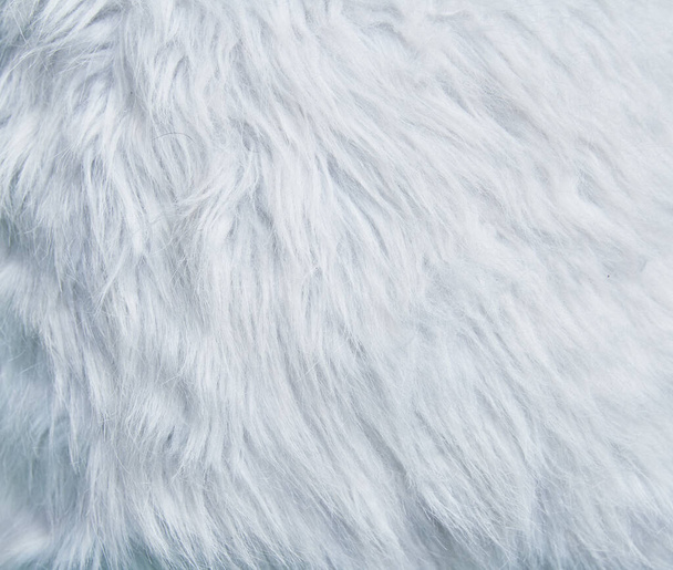 Beautiful fur texture image - Photo, Image