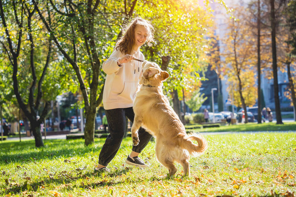 The owner plays the golden retriever dog in the park. - Zdjęcie, obraz