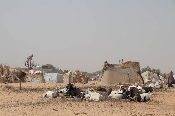 Camp de réfugiés (PDI - personnes déplacées à l'intérieur du pays) se réfugiant du conflit armé entre les groupes d'opposition et le gouvernement. Très mauvaises conditions de vie, manque d'eau, d'hygiène, d'abris et de nourriture - Photo, image