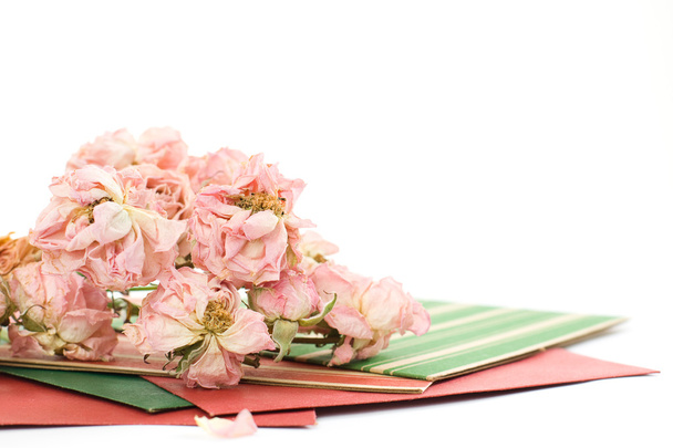 Fondo vintage con postales y flores secas rosas
 - Foto, Imagen