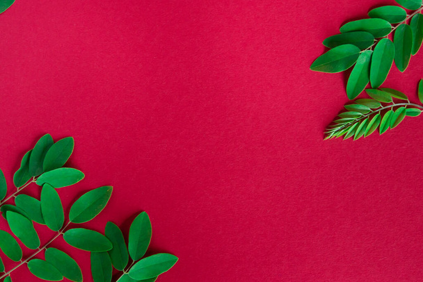 Frame from green leaves on red paper for text. Flat deck chair, top view, copy space. Postcard. - Foto, Imagem