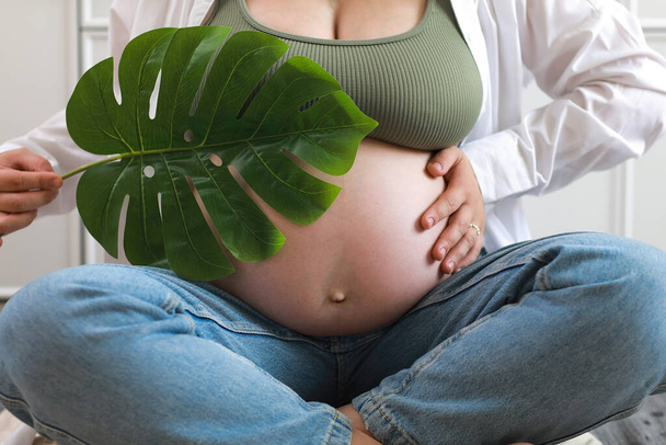 Οικολογική εγκυμοσύνη. Έγκυος γυναίκα με μεγάλη κοιλιά προηγμένη εγκυμοσύνη εκμετάλλευση πράσινο τροπικό φύλλο φοίνικα Monstera στο χέρι. - Φωτογραφία, εικόνα