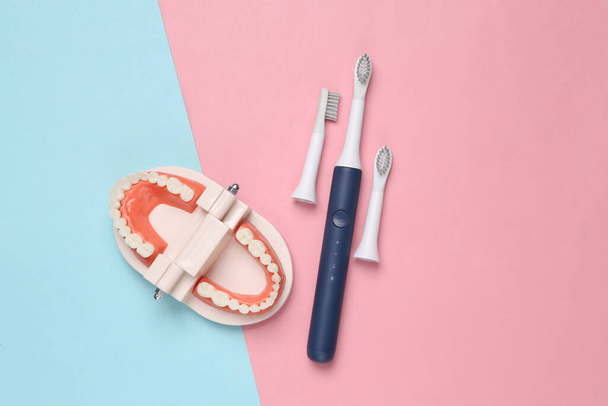 Модель джгута з білими зубами та ультразвуковою зубною щіткою на синьо-рожевому пастельному фоні. Стоматологічна допомога. Вид зверху. Плоский прошарок
 - Фото, зображення