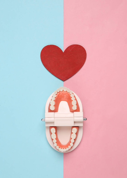 Model of human jaw with red heart on pink blue pastel background. Love concept. Creative flat lay - Foto, Bild