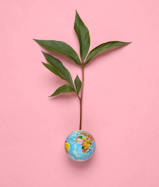 Globe with germinated green plant on pink background. Natural, eco concept - 写真・画像