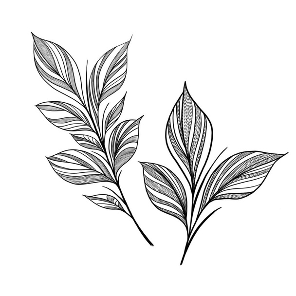 Piękna ręka czarny zarys kwiat liny zioło ilustracja izolowane na białym tle. Szablon elementu botanicznego do projektowania graficznego, dekoracji ślubnej, tekstyliów, upominków, druku papeterii - Zdjęcie, obraz