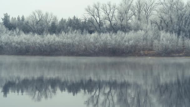 Pozdní podzimní krajina na řece. Řeka, stromy a rostliny pokryté mrazem - Záběry, video