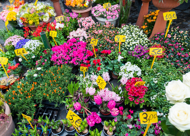 Κατάστημα λουλουδιών του δρόμου με πολύχρωμα λουλούδια - Φωτογραφία, εικόνα