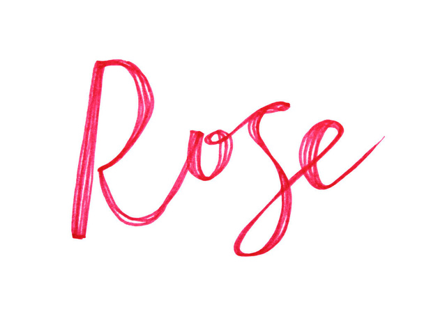 Litery różowy ręcznie rysowane słowo róża izolowane na białym tle. Twórczy liniowiec artystyczny lub marker filcowy. Clipart na uroczystości ślubne 8 marzec Walentynki szkicownik owijanie tapety - Zdjęcie, obraz