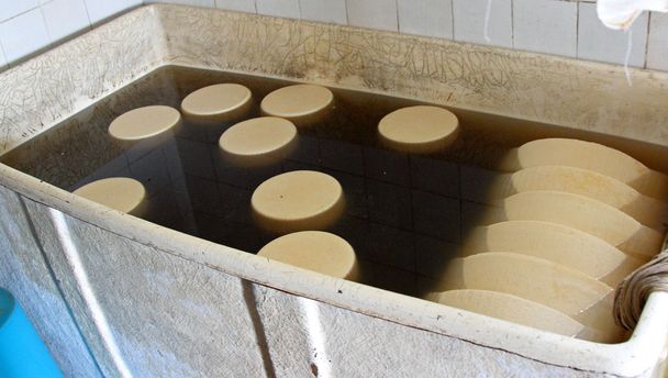 juustomuodot suolavedessä säiliössä meijerissä
 - Valokuva, kuva