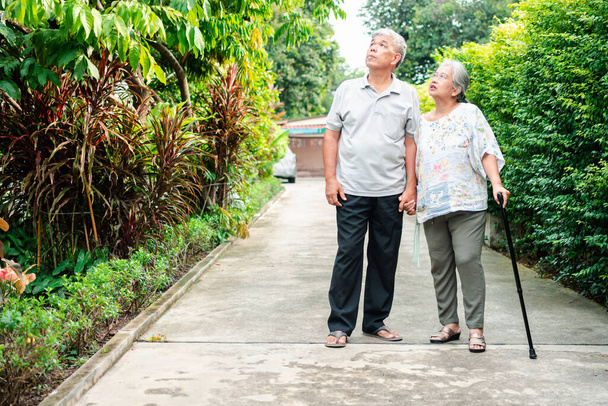 Ευτυχισμένο ζευγάρι τελειόφοιτων περπατάνε μαζί στον κήπο. Ηλικιωμένοι χρησιμοποιώντας ένα μπαστούνι για να βοηθήσει να περπατήσει ισορροπία. Έννοια της αγάπης και της φροντίδας της οικογένειας και ασφάλιση υγείας για την οικογένεια - Φωτογραφία, εικόνα