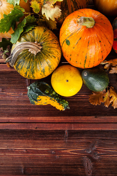Autumn pumpkins on wooden planks - Fotó, kép